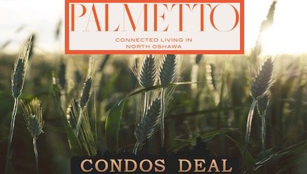 Palmetto Towns & Homes