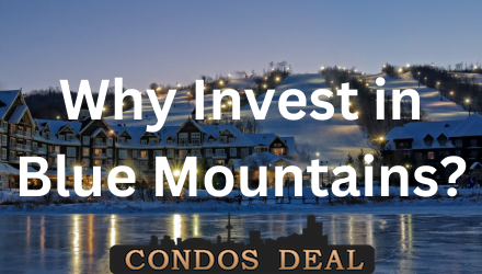Why invest in blue mountains